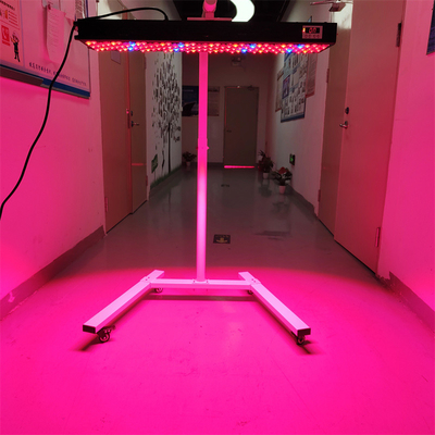 kaufen 300-6000W Infrarot-PDT-Lichttherapie-Gerät OEM/ODM 8 Wellenlängen Modell Ganzkörperverwendung on-line-Fertigung