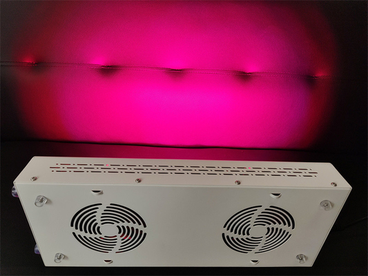 kaufen 600w Körperpflege Rotlichttherapie Gerät Rot Nir Spektrum Anpassung für makellose Haut on-line-Fertigung