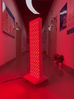 kaufen High Power 2000W Red + Near Infrared Light Panel – OEM Factory with Pulse Mode & Brightness Control on-line-Fertigung