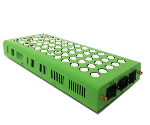 kaufen alternde Infrarotantilichttherapie 300w 660nm 850nm für die Knie-Schmerz on-line-Fertigung