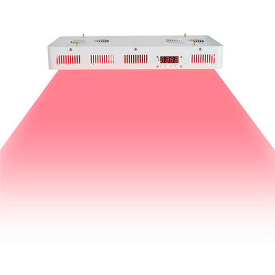 kaufen Medizinischer Grad 2 in 1 Infrarotnanometer der Physiotherapie-660nm 850 on-line-Fertigung