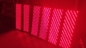 rote Lichttherapie-Lampen-alternde AntiSchmerzlinderung 660nm 850nm 600W LED