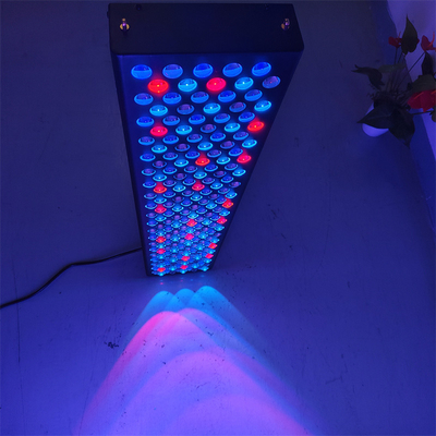 Professionelle Rotlichttherapie Vollkörper-Panels kundenspezifische Wellenlänge Rotlichttherapie Geräte