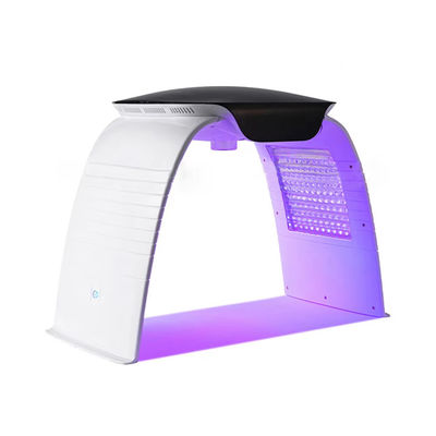 Tragbare 7 Farben Led Gesichtsmaschine Pdt Led Lichttherapie Nano Wasserspray Phototherapie Schönheitsmaschine mit AC110-240V Spannung