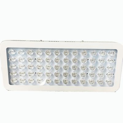 rotes Licht 300W 850nm und Infrarotlichttherapie für die Knie-Schmerz sich nähern