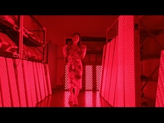 3000w Rotlicht-Therapie-Panel