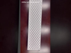 rote Platte der Lichttherapie-1000W