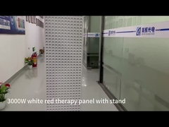 3000w Rotlicht-Therapie-Panel