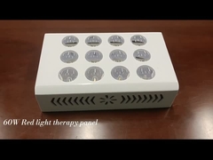 60W Rotlicht-Therapie-Panel