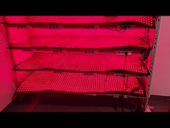 Custom 660nm 850nm Rotlichttherapie 120pcs LED Gewichtsverlust Geräte