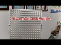 Keine Standortbeschränkungen Infrarot-Rotlicht-Therapielampe 45W 660nm 850nm