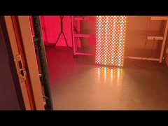 Vollkörper 6000w Infrarot-LED-Lichttherapie-Lichtmaschine für die Haut