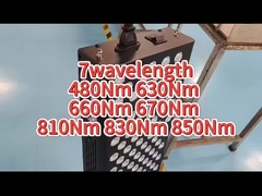 660nm 850nm Lichttherapie-Maschinen-Schmerzlinderung Wechselstroms rote für persönlichen Gebrauch