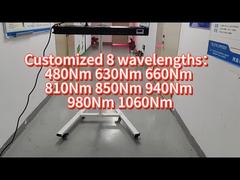 660nm 850nm 1000w Vollkörper-LED-Lichttherapie für kommerzielle Verwendung zu Hause